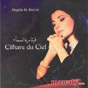 Majda Al Roumi